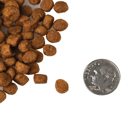 Fromm Four-Star Dry Cat Food - Duck Á La Veg - 4lb Bag